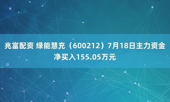 兆富配资 绿能慧充（600212）7月18日主力资金净买入155.05万元