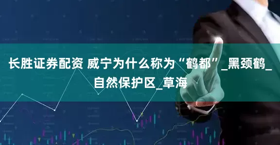 长胜证券配资 威宁为什么称为“鹤都”_黑颈鹤_自然保护区_草海