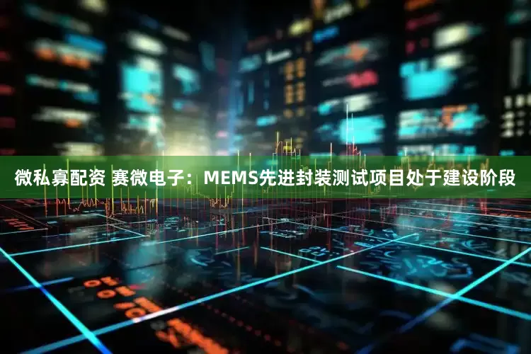 微私寡配资 赛微电子：MEMS先进封装测试项目处于建设阶段